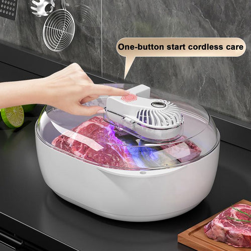 6-in-1 Thawing Plate for Nutritious Meat Defrosting